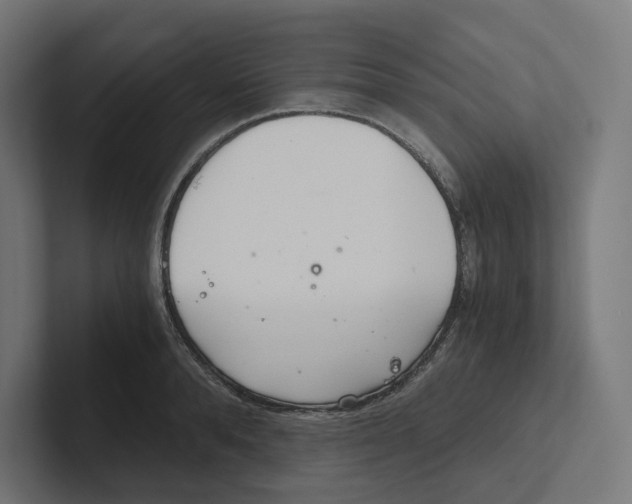 X0000102300896200808221418