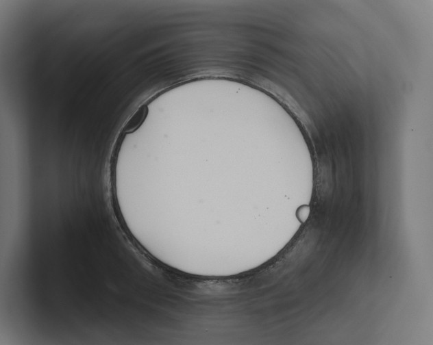 X0000102300898200808221418