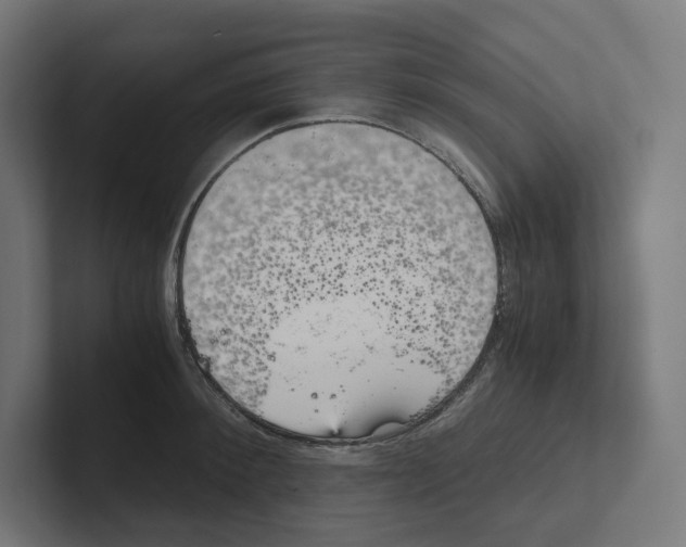 X0000102300900200808221418