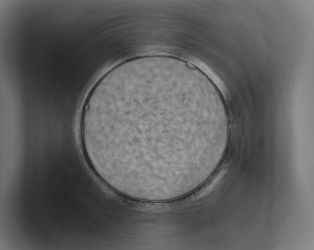 X0000102300901200808221418