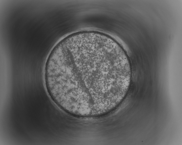 X0000102300903200808221418