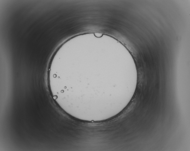 X0000102300904200808221418