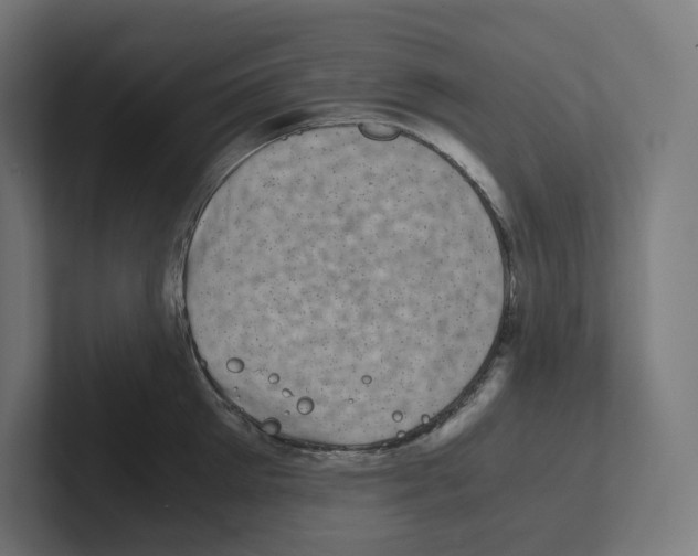 X0000102300905200808221418