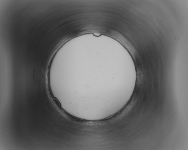 X0000102300906200808221418