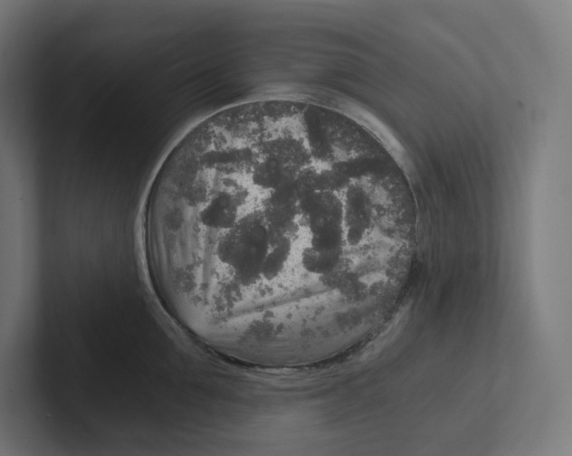 X0000102300907200808221418