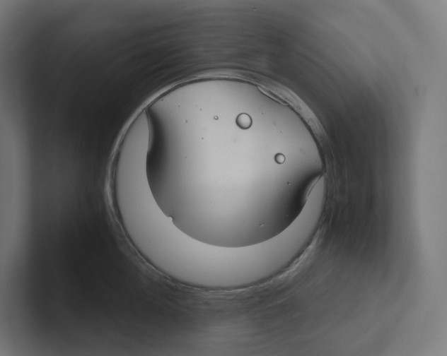 X0000102300908200808221418