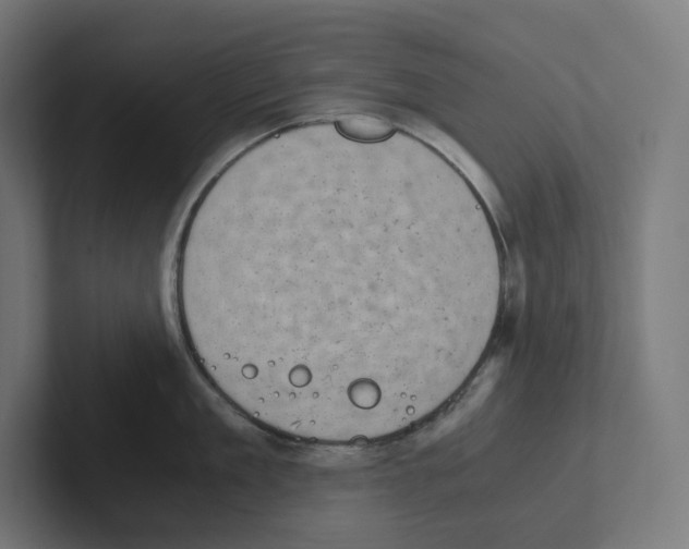 X0000102300909200808221418