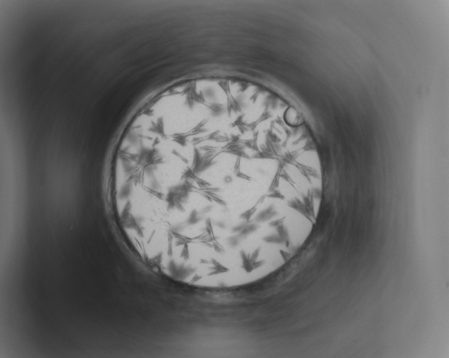 X0000102300911200808221418