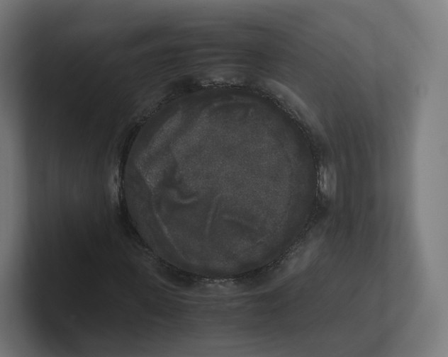 X0000102300915200808221417