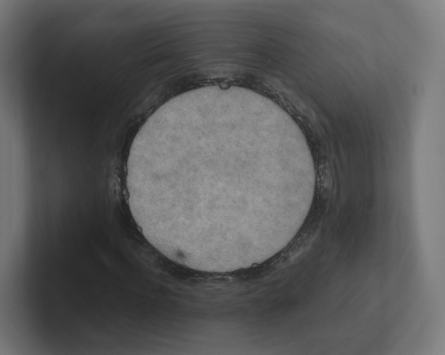X0000102300916200808221417