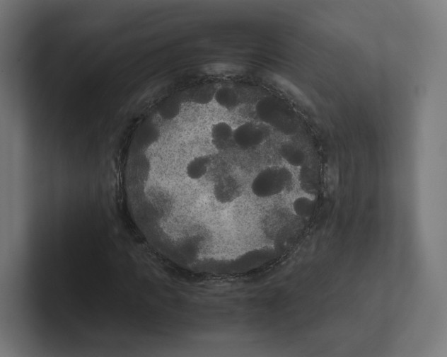 X0000102300917200808221417