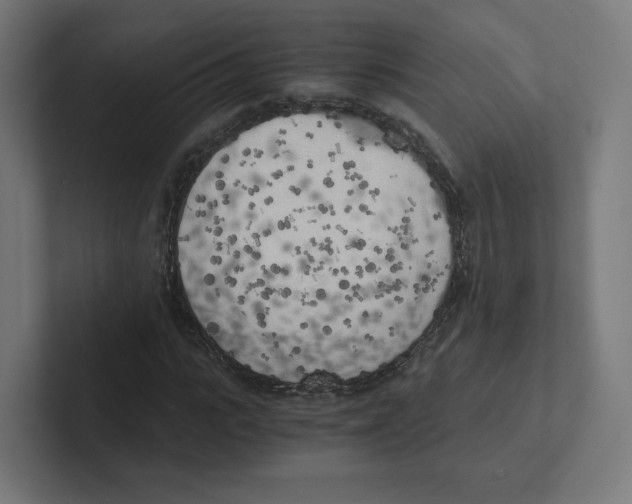 X0000102300919200808221417