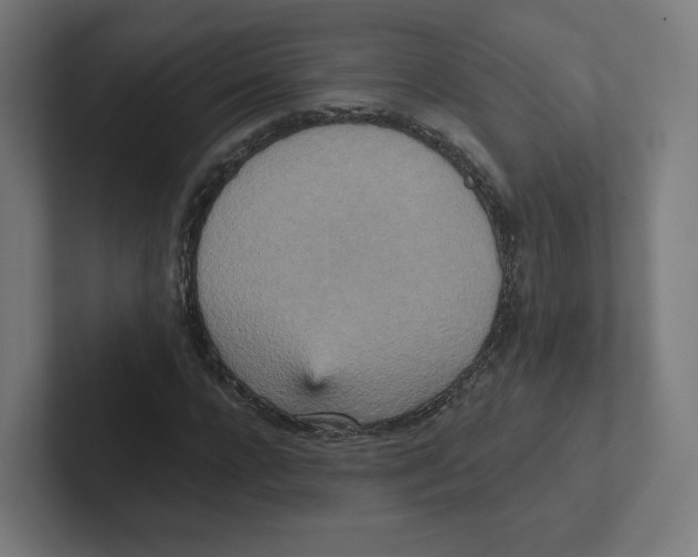 X0000102300920200808221417
