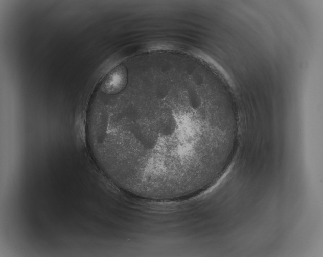 X0000102300921200808221418