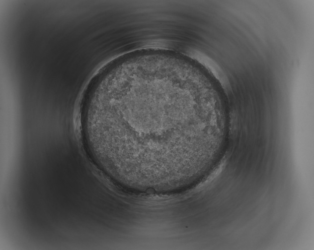X0000102300923200808221418