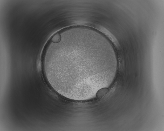 X0000102300924200808221418
