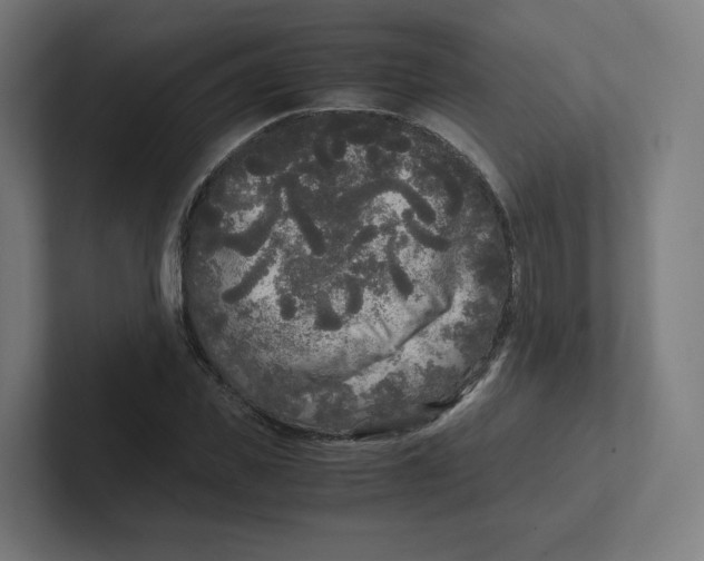 X0000102300925200808221418