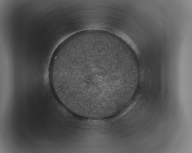 X0000102300928200808221418