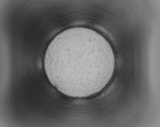 X0000102300929200808221418