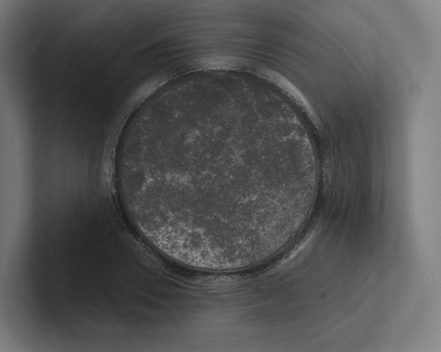 X0000102300930200808221418