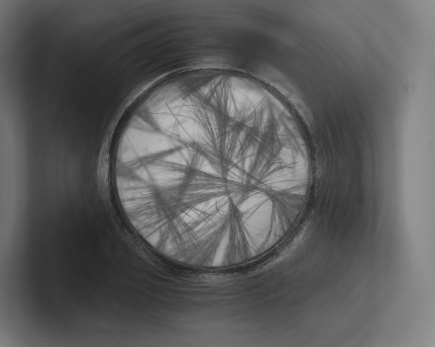 X0000102300933200808221418
