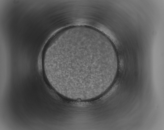 X0000102300934200808221418