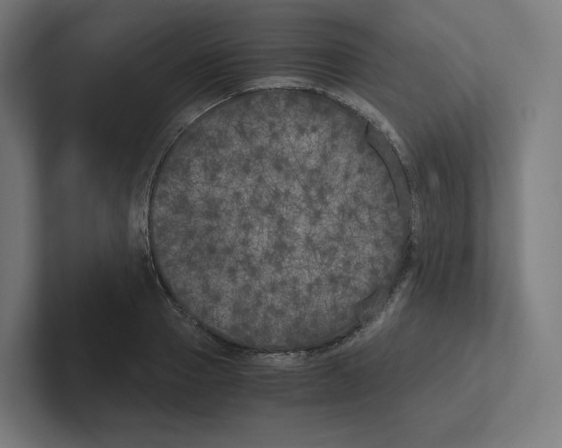 X0000102300937200808221418