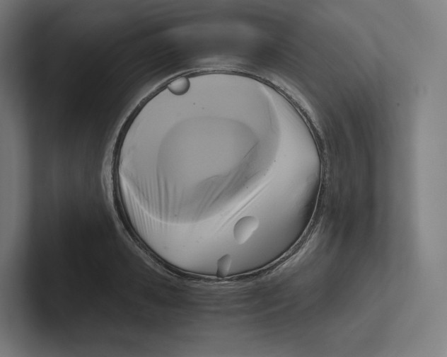 X0000102300941200808221418
