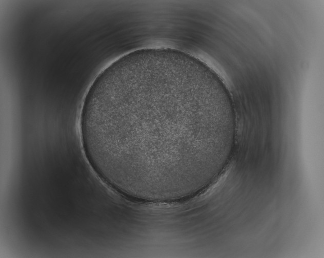 X0000102300943200808221418