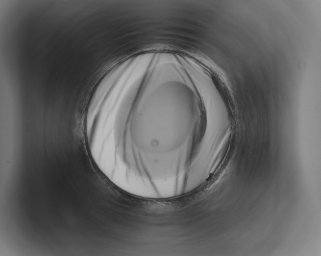X0000102300945200808221418