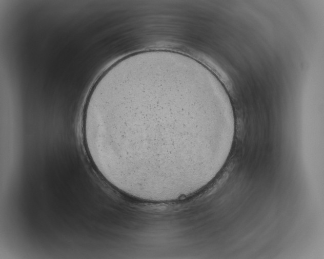 X0000102300948200808221418