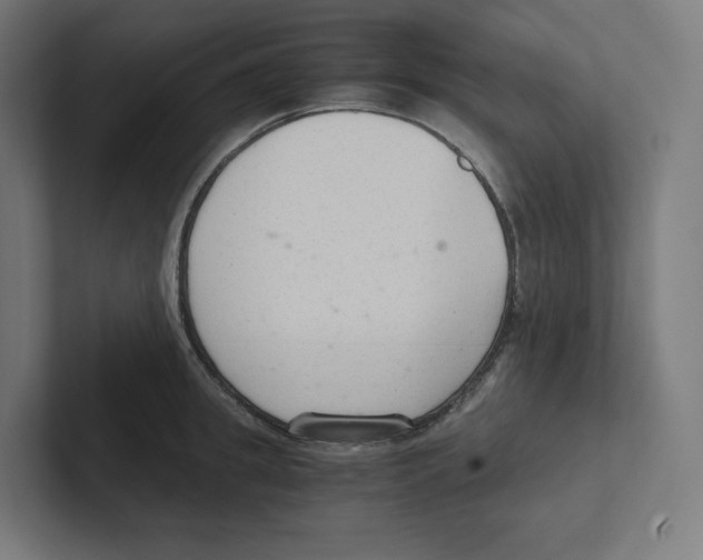 X0000102300949200808221418