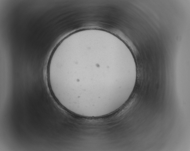 X0000102300951200808221418