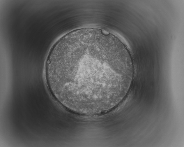 X0000102300952200808221418