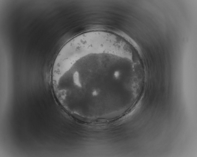 X0000102300953200808221418