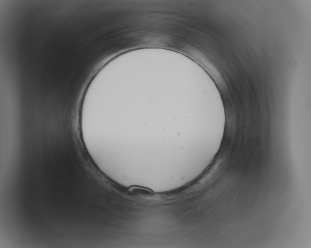 X0000102300956200808221418