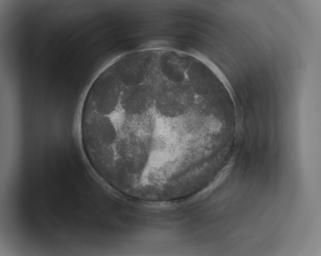 X0000102300957200808221418