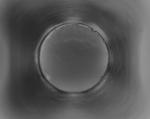 X0000102300958200808221418