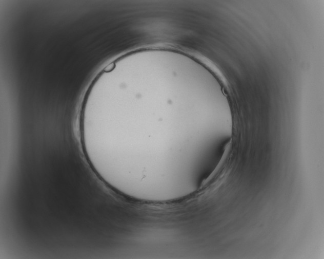 X0000102300959200808221418