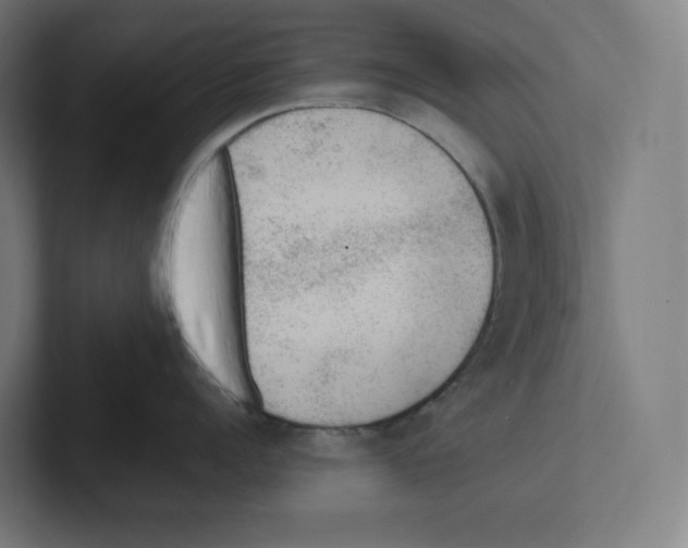 X0000102300960200808221418