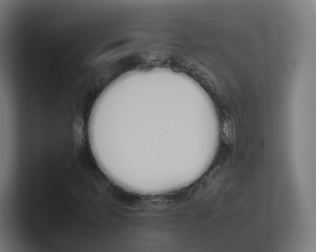 X0000102300963200808221417