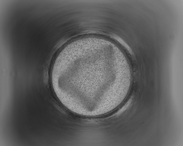 X0000102300969200808221417