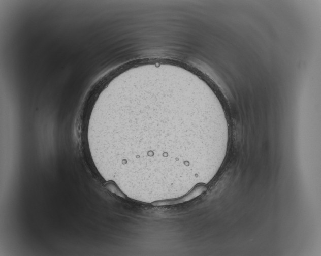 X0000102300971200808221417