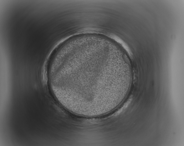 X0000102300973200808221417
