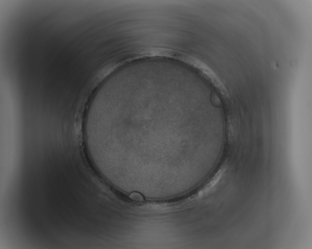 X0000102300977200808221417
