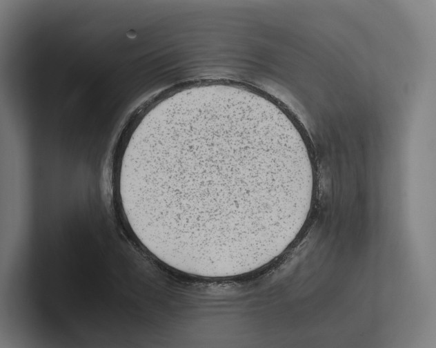X0000102300979200808221417