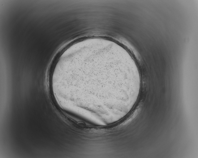 X0000102300981200808221417