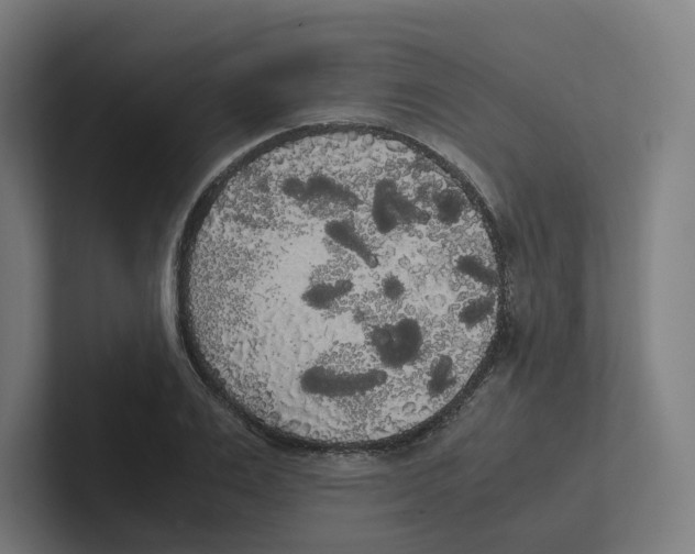 X0000102300983200808221417