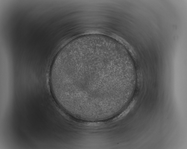 X0000102300985200808221417