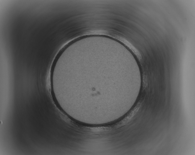 X0000102300988200808221417